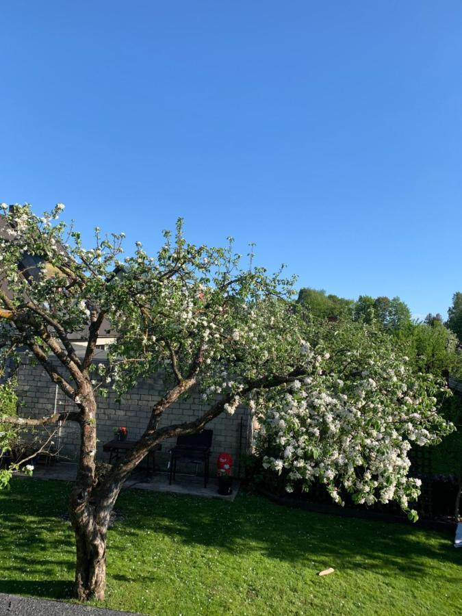 Mooni Cottage Parnu Exterior photo